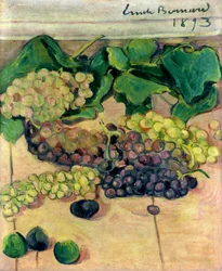 Grapes